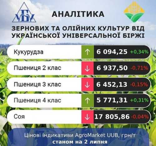 На агроринку України спостерігаються різноспрямовані тенденції: кукурудза зростає, а пшениця падає - INFBusiness