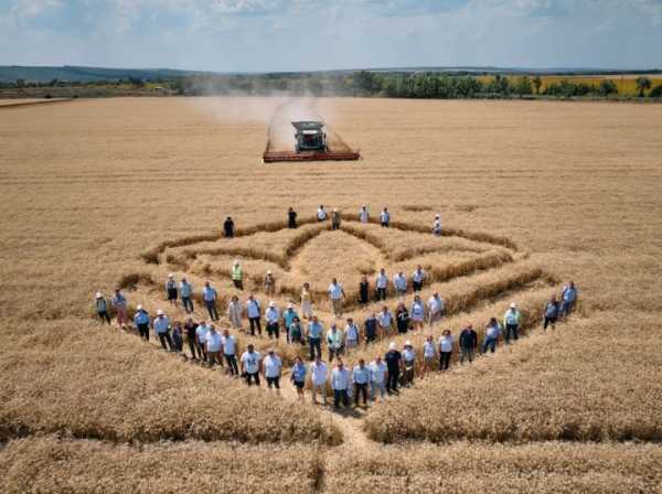 Репортаж з Миколаївського кластера НІБУЛОНу: Врожайність озимих, інвестиції у IT, розмінування та елеватори - INFBusiness