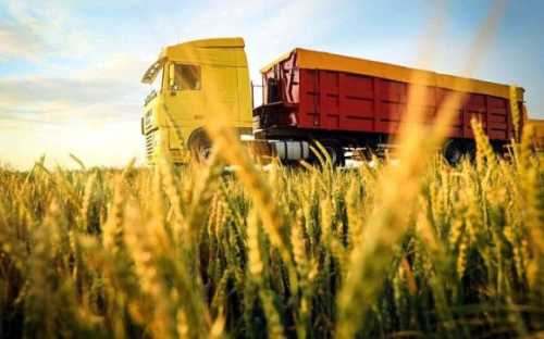 Grain from Ukraine: ВПП прагне купувати готову продукцію - INFBusiness