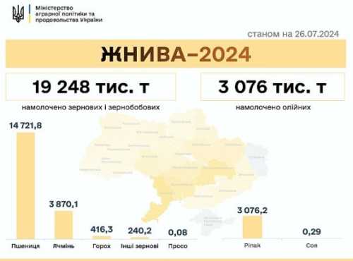 Жнива 2024: намолочено 22 млн т зернових та олійних - INFBusiness