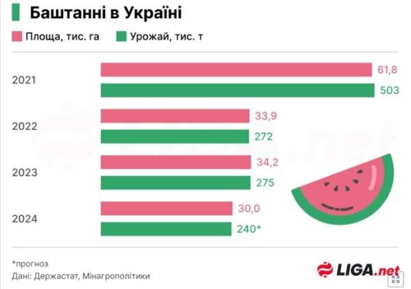 Площі полів під кавунами в Україні цьогоріч найменші в історії - INFBusiness