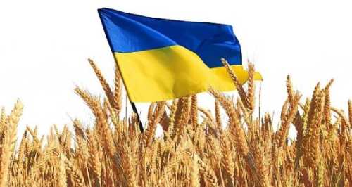 В рамках Grain from Ukraine з портів Одеси відправлено 160 тис. тонн агропродукції - INFBusiness