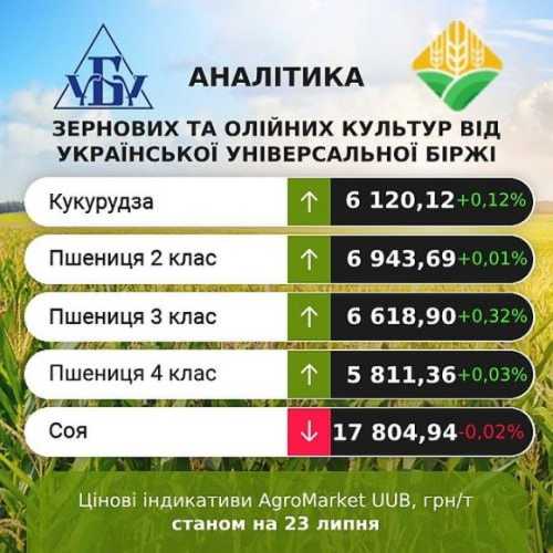 Ціни на кукурудзу та соняшник продемонстрували незначне підвищення, – аналітики - INFBusiness