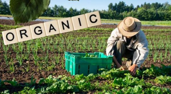 Стартує прийом заявок на компенсацію витрат за органічну сертифікацію - INFBusiness