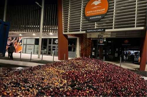Фермери Франції протестують проти низьких цін на персики - INFBusiness