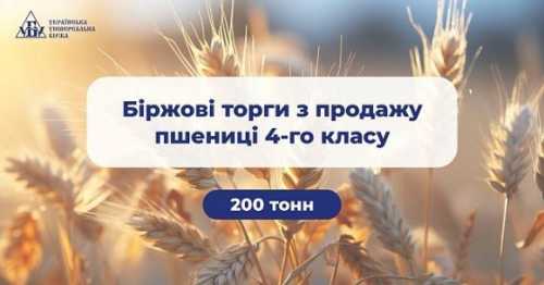 На біржових торгах продають 200 тонн пшениці - INFBusiness