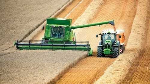 Жнива в Україні проходять на 2-3 тижні раніше, ніж зазвичай - INFBusiness