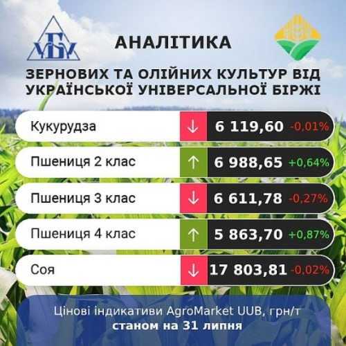 AgroMarket UUB: аналіз українського ринку зерна за 29-31 липня - INFBusiness