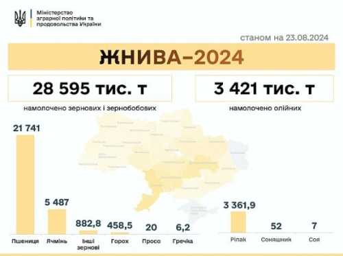 Аграрії Вінниччини розпочали збирати цукрові буряки - INFBusiness
