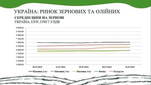 Продовжується зростання на ринку зернових та олійних культур - INFBusiness