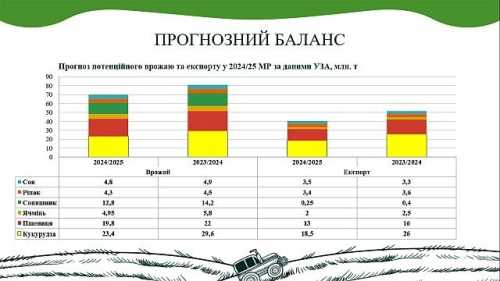 Продовжується зростання на ринку зернових та олійних культур - INFBusiness