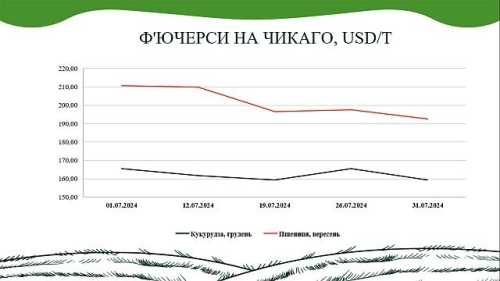 Продовжується зростання на ринку зернових та олійних культур - INFBusiness