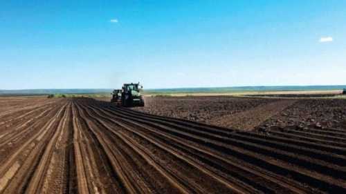 Побоювання, що великі агрохолдинги скуплять переважну частину земель, не справдились, – аналітик - INFBusiness