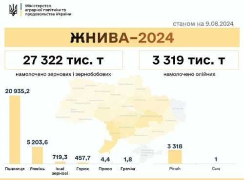 Жнива 2024: зібрали майже 31 млн т зернових та олійних - INFBusiness