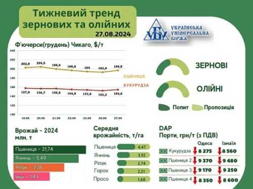 Тижневий тренд ни ринку зернових та олійних культур за 19-27 серпня - INFBusiness