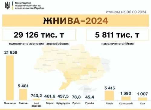 Жнива 2024: зібрали 35,1 млн тонн нового врожаю - INFBusiness