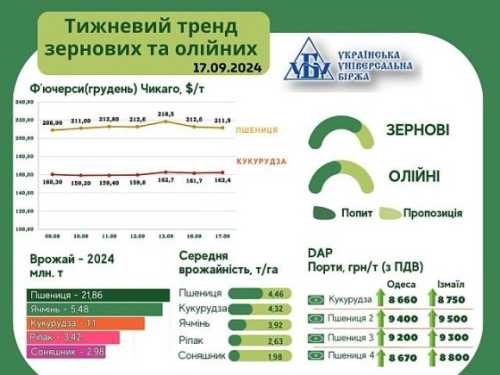 Зростання експортних цін на кукурудзу стимулює попит на внутрішньому ринку - INFBusiness