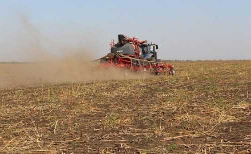 В ПАЕК сіють озиму пшеницю за технологією No-till - INFBusiness