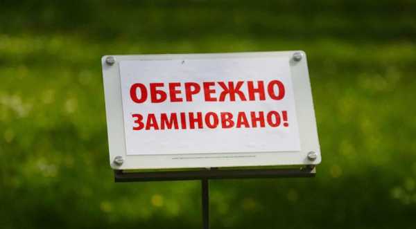 Компенсація за розмінування земель: від аграріїв надійшло заявок на 17 тис. га - INFBusiness