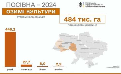 Осіння посівна-2024: дві області закінчили сіяти озимий ріпак - INFBusiness