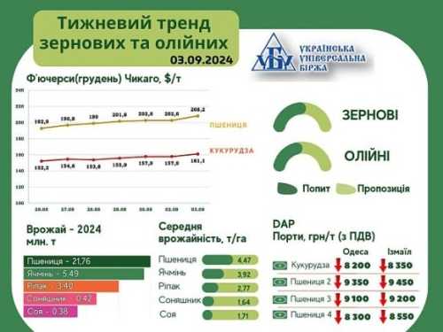 Тренд на ринку зернових та олійних культур за 26 серпня - 3 вересня - INFBusiness