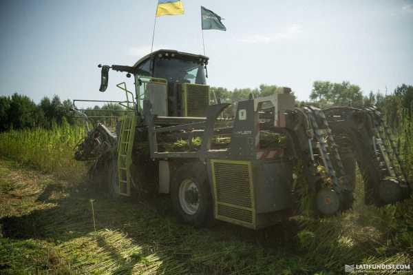 Ma'Rijany Hemp Company вперше збирає технічні коноплі. З якою врожайністю та яку техніку пригнали з Європи? - INFBusiness