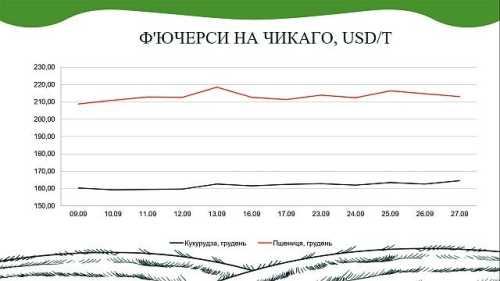 Аналітичний звіт від AgroMarket UUB: ринок зернових та олійних у вересні - INFBusiness