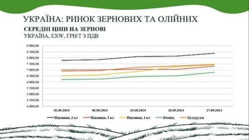 Аналітичний звіт від AgroMarket UUB: ринок зернових та олійних у вересні - INFBusiness