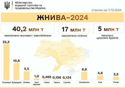 Жнива-2024: зібрано 62,2 млн тонн нового врожаю - INFBusiness