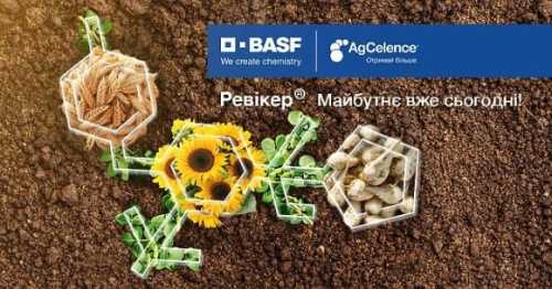 BASF презентує нові фунгіциди на основі молекули Ревісол® - INFBusiness