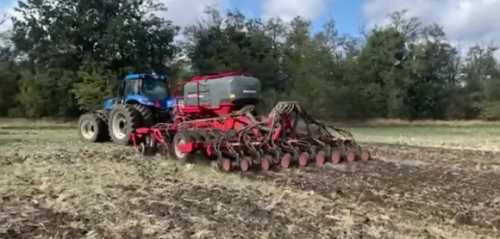 В ПАЕК вирішили посіяти ще декілька тисяч гектарів озимого ріпаку - INFBusiness