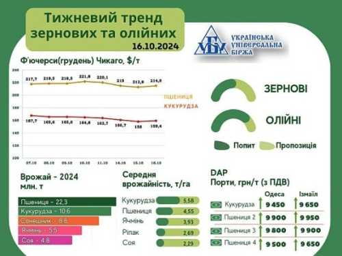 Тренди ринку зернових та олійних – аналіз - INFBusiness