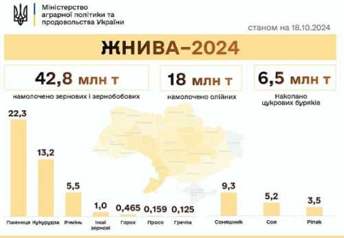 Жнива-2024: зібрано понад 67 млн тонн нового врожаю - INFBusiness