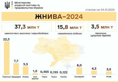 Підсумки жнив-2024: намолочено 56,6 млн тонн - INFBusiness