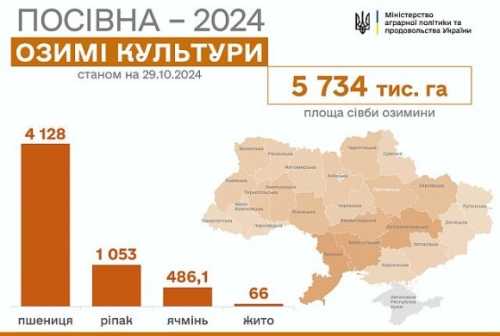 Посівна-2024: засіяно 5,7 млн га озимих культур - INFBusiness