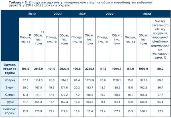 Яблука займають 60% урожаю фруктів та ягід в Україні - INFBusiness