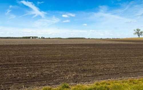 В ході торгів з суборенди держземель на Хмельниччині учасники підняли ціну більш ніж у 40 разів - INFBusiness