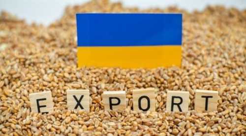 Аграрії пропонують змінити митні правила для розвитку експорту продуктів з доданою вартістю - INFBusiness