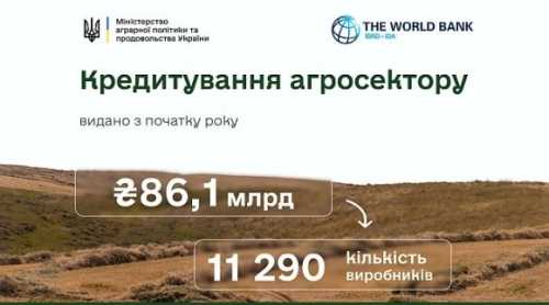 Доступні кредити: аграрії отримали з початку року 37,4 млрд гривень - INFBusiness