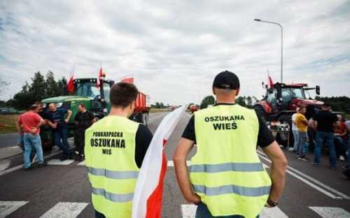 Польські фермери проти вільної торгівлі між ЄС і Південною Америкою – тому заблокують кордон з Україною - INFBusiness