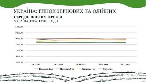 Ринок зернових та олійних у листопаді, – аналіз від AgroMarket UUB - INFBusiness