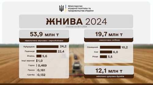 Жнива 2024: зібрано 76,3 млн тонн зернових і олійних - INFBusiness