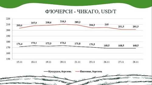 Ринок зернових та олійних у листопаді, – аналіз від AgroMarket UUB - INFBusiness