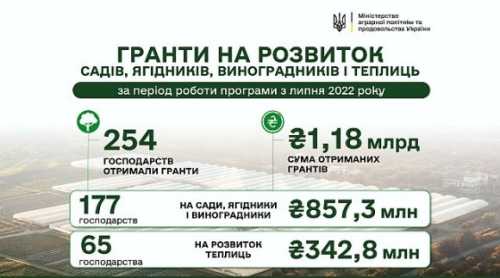 єРобота: на розвиток садів і теплиць аграріям виплатили з початку року понад 477 млн грн - INFBusiness