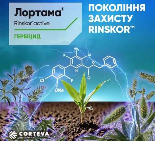 Corteva Agriscience представляє новий післясходовий гербіцид Лортама® для захисту кукурудзи - INFBusiness