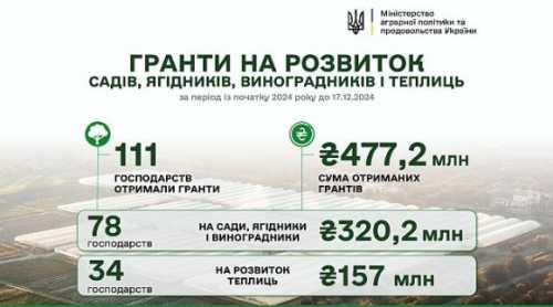 З початку року на розвиток садів і теплиць уряд виплатив понад 477 млн грн - INFBusiness