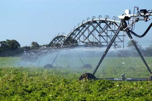 У 2024 році уряд спрямував 39,4 млн грн на підтримку аграріїв, які використовують меліоровані землі - INFBusiness