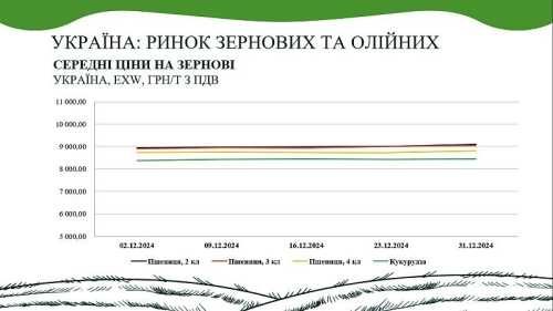 Підсумки грудня на ринку зернових та олійних від AgroMarket UUB - INFBusiness