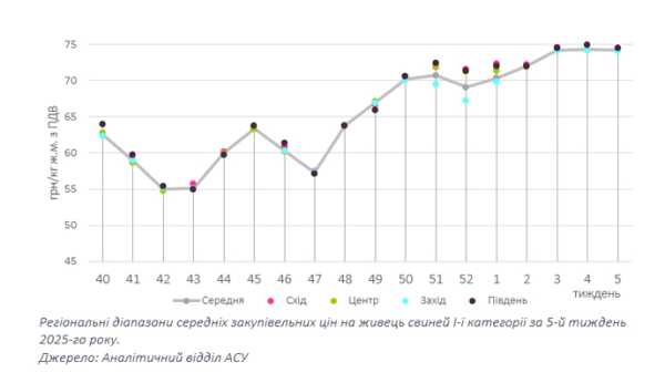 Свинина третій тиждень балансує у ціновому проміжку 74-75 грн/кг - INFBusiness