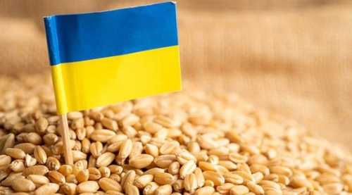 Агропродукція складає 59% від загального експорту - INFBusiness